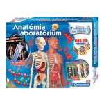 Árcsökkenés Anatómia laboratórium