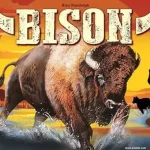 Szezonális akció Piatnik - Bison társasjáték