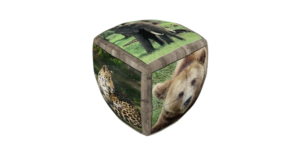 Expressz szállítás V-Cube 2x2 versenykocka, lekerekített, Vadállatok