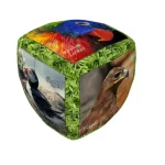 V-Cube 2x2 versenykocka, lekerekített, Madarak Rendeld meg most