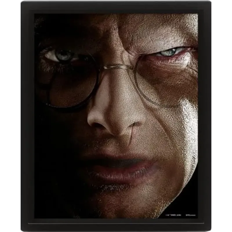 Gyors kiszállítás Harry Potter (HARRY VS VOLDEMORT) keretezett poszter
