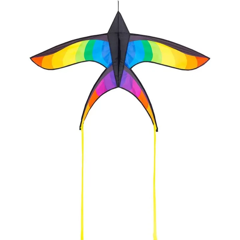 Exkluzív ajánlat Rainbow Swallow sárkány